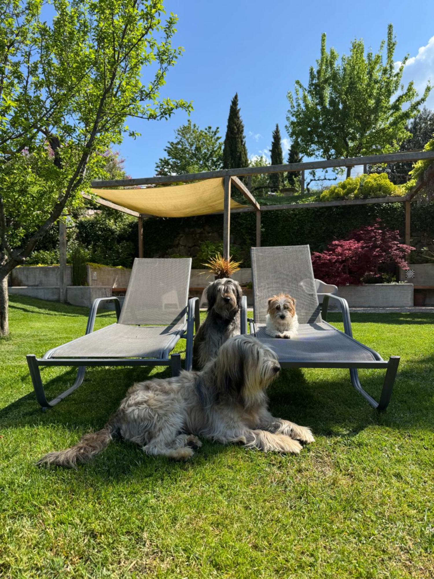 Вилла Laghel7 Agritur Арко Экстерьер фото